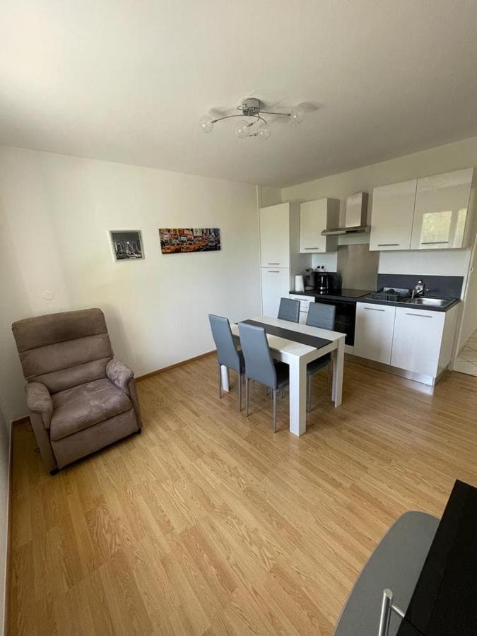 Appartement Le Domaine Des Libellules Proche Walibi Corbelin Buitenkant foto