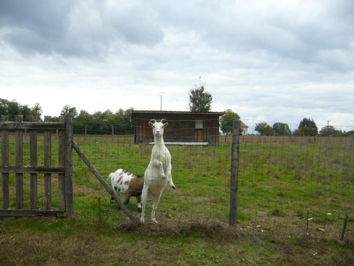 Appartement Le Domaine Des Libellules Proche Walibi Corbelin Buitenkant foto