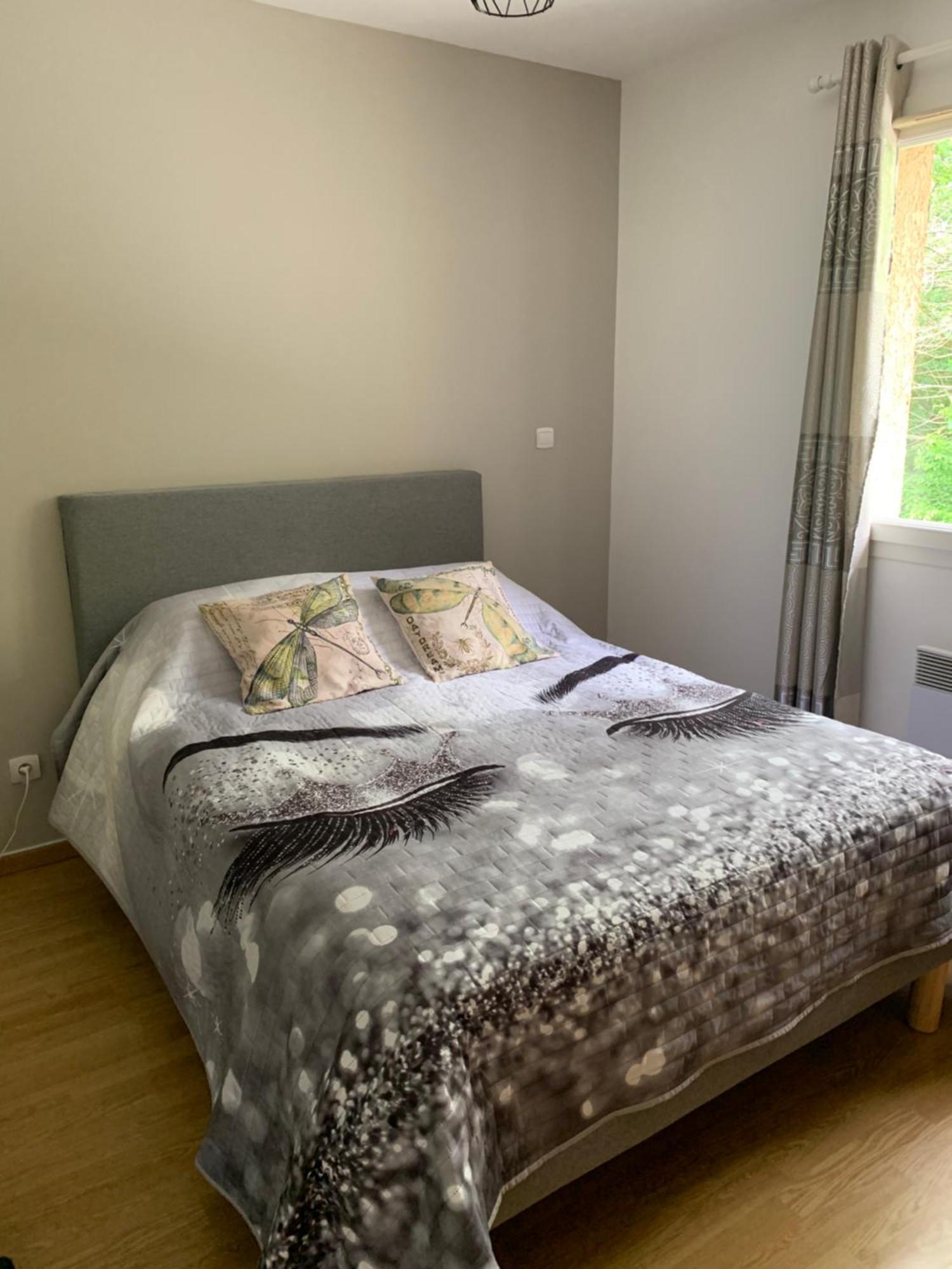 Appartement Le Domaine Des Libellules Proche Walibi Corbelin Buitenkant foto